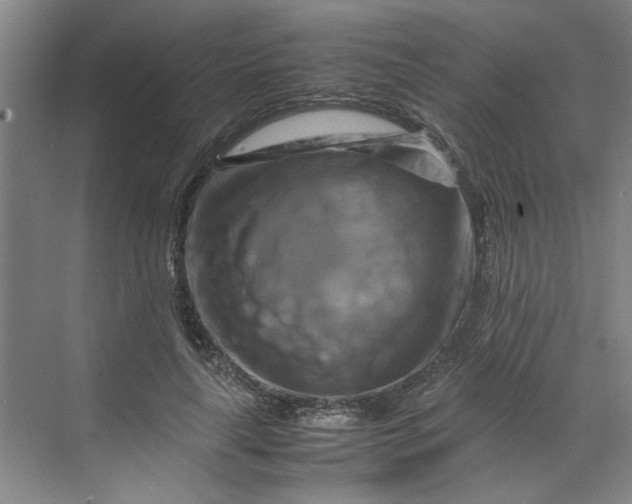 X0000070190643200606091533