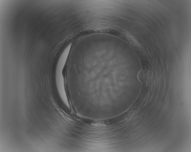 X0000070190644200606091533