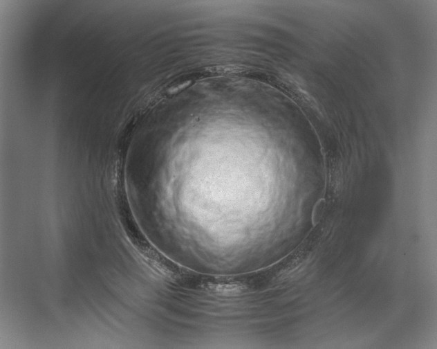 X0000070190645200606091534