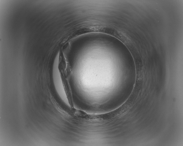 X0000070190646200606091534