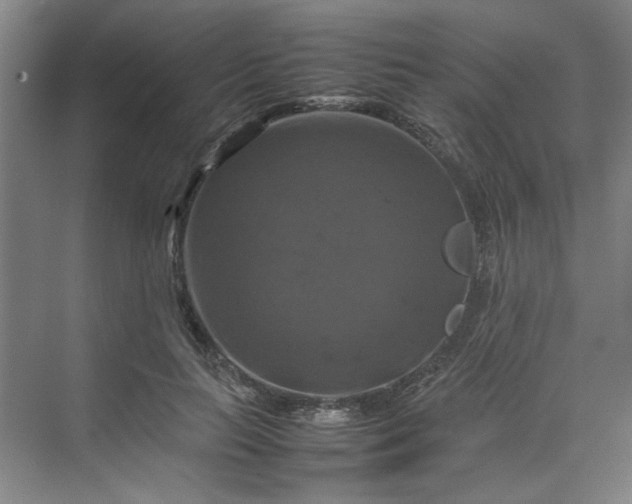 X0000070190647200606091534