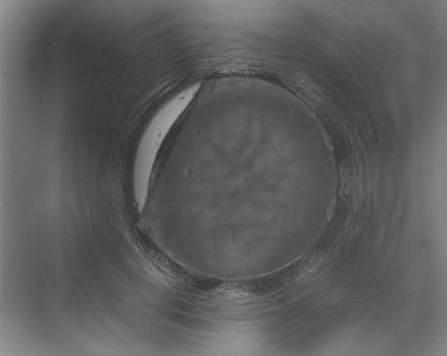 X0000070190648200606091534