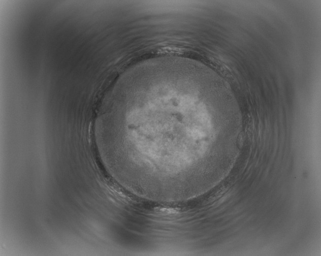 X0000070190649200606091534