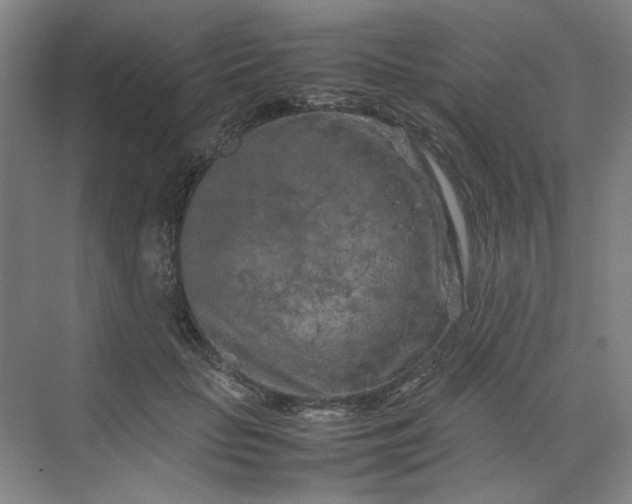 X0000070190653200606091534