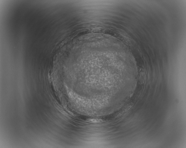 X0000070190654200606091534