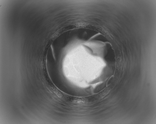 X0000070190655200606091534