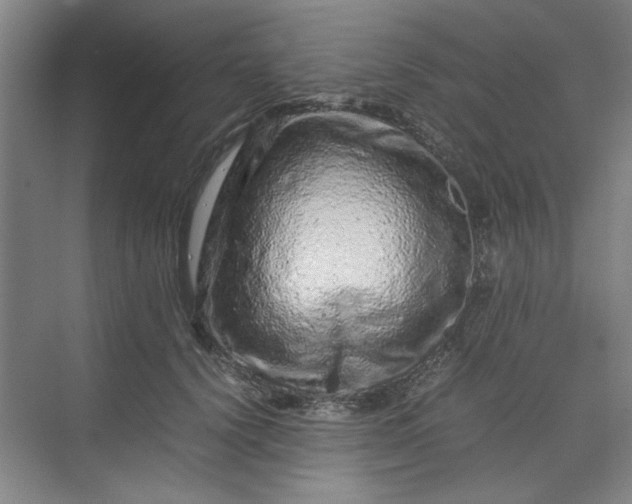 X0000070190656200606091534