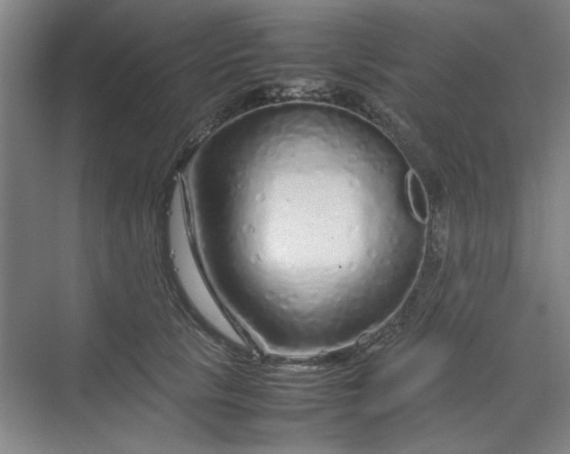 X0000070190657200606091534