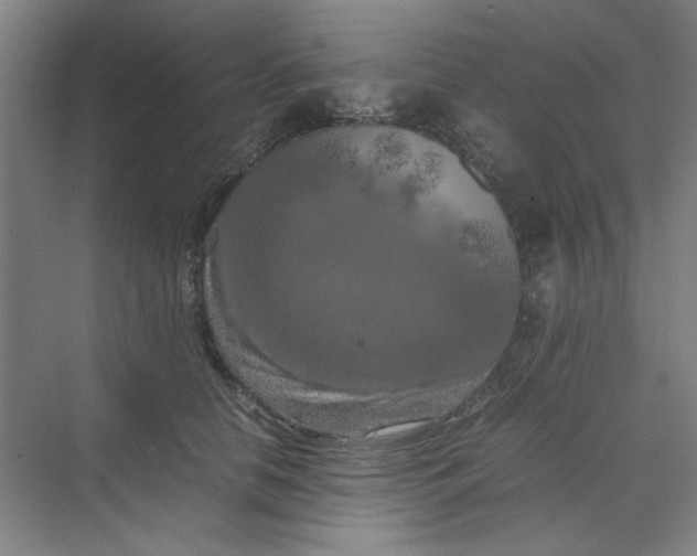 X0000070190658200606091534