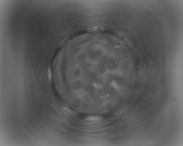 X0000070190659200606091534