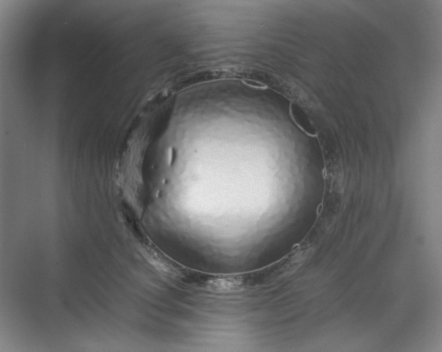 X0000070190660200606091534