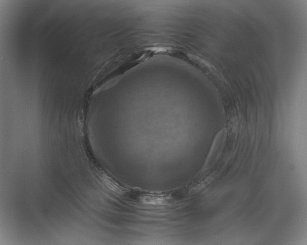 X0000070190661200606091534