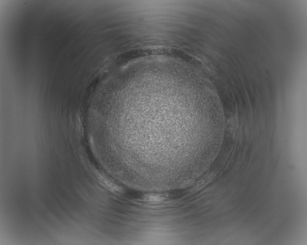 X0000070190662200606091534