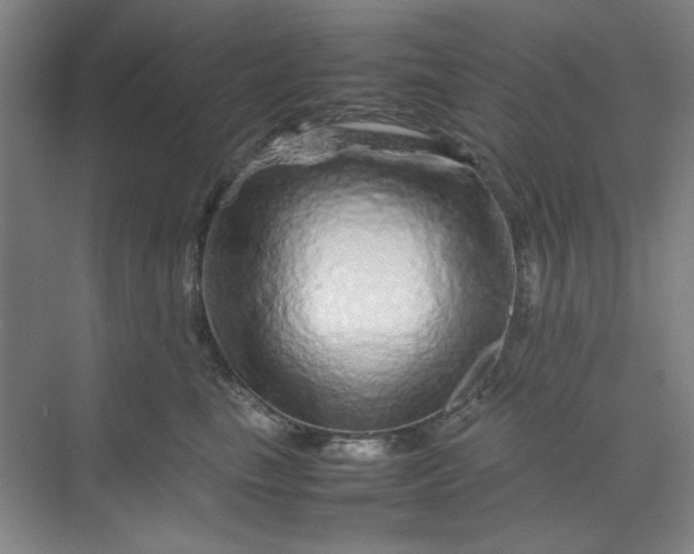 X0000070190665200606091534