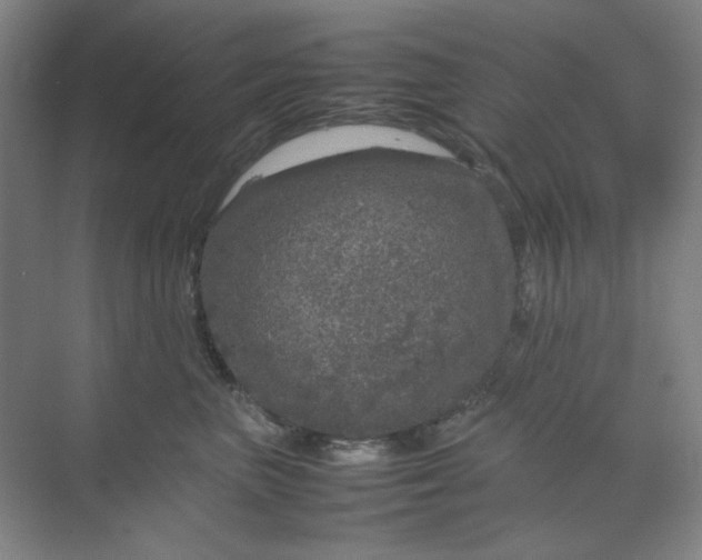 X0000070190667200606091534