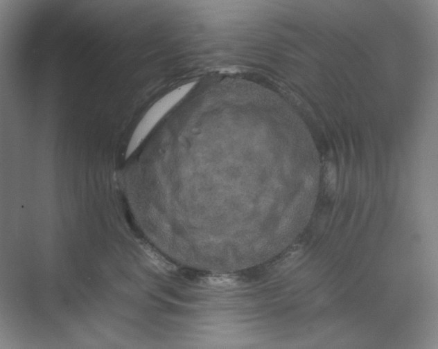 X0000070190668200606091534