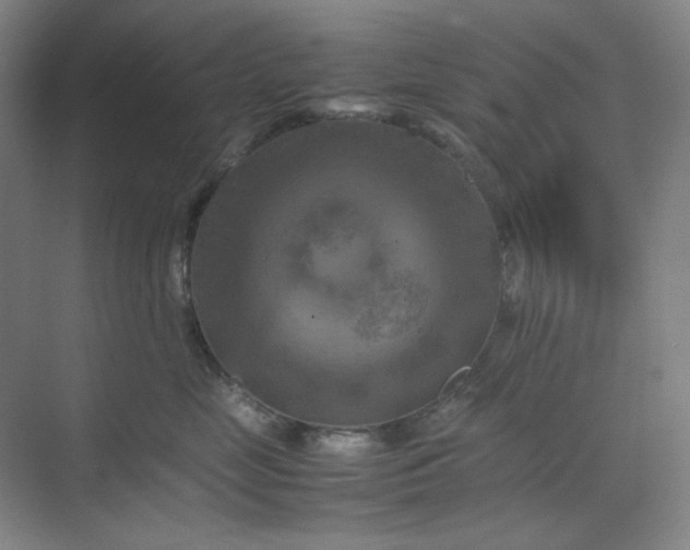 X0000070190669200606091534