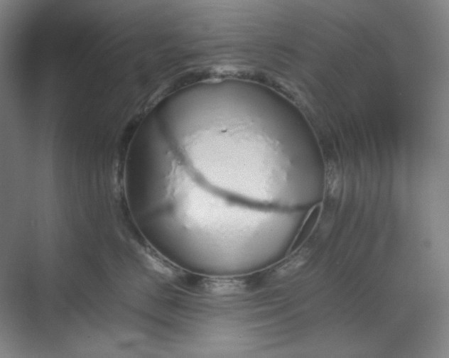 X0000070190670200606091534