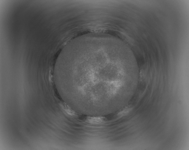 X0000070190671200606091534