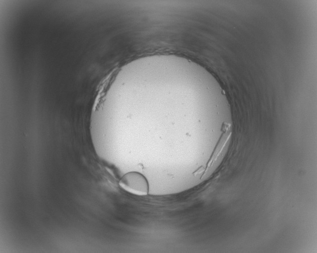 X0000070190672200606091534