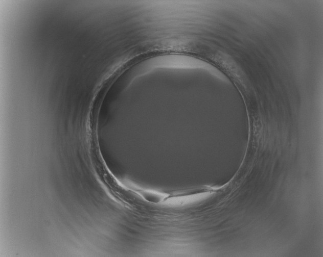 X0000070190674200606091533