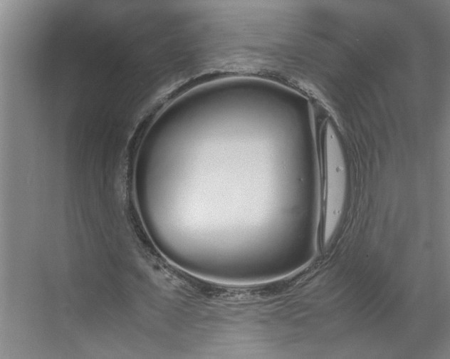 X0000070190675200606091533