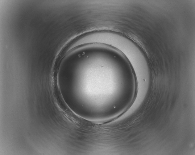 X0000070190676200606091533