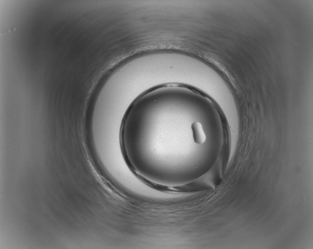 X0000070190677200606091533