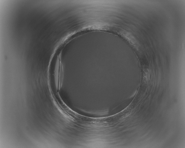 X0000070190678200606091533