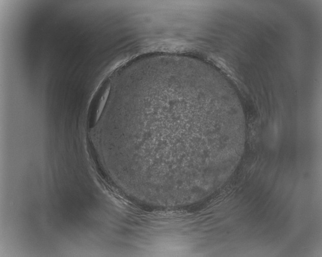 X0000070190679200606091533