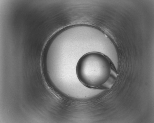 X0000070190680200606091533