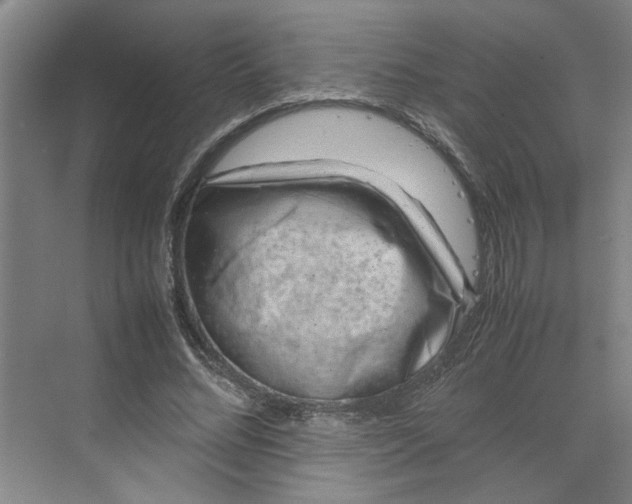 X0000070190684200606091533