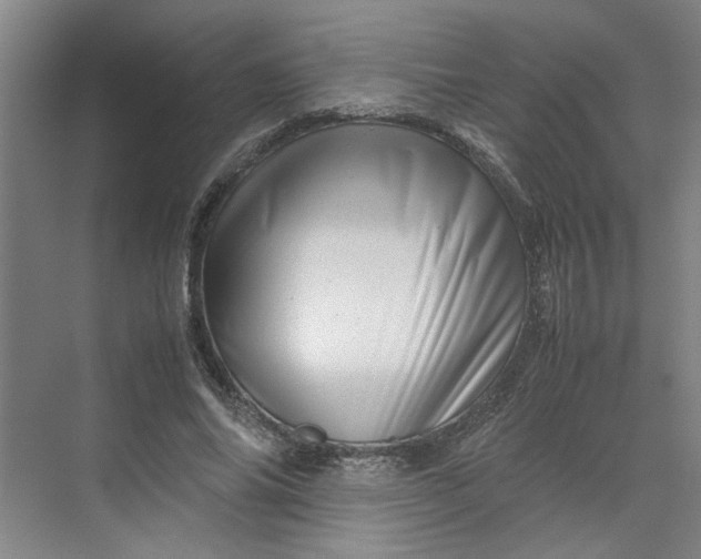 X0000070190686200606091533