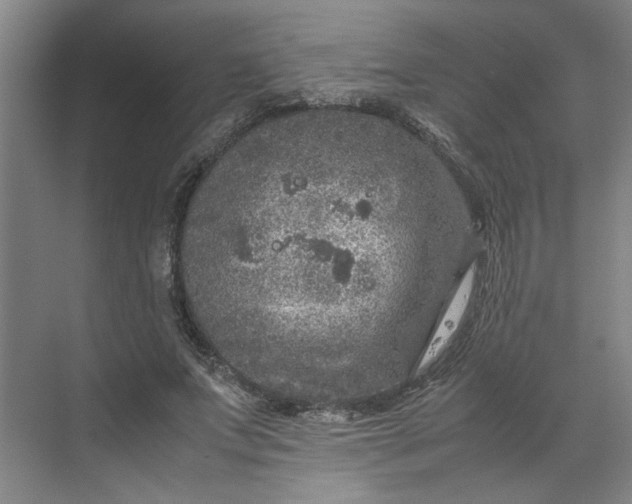 X0000070190687200606091533