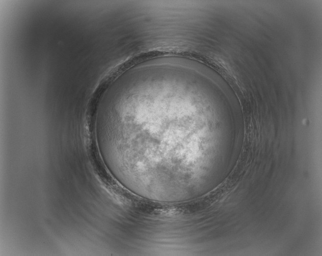 X0000070190688200606091533