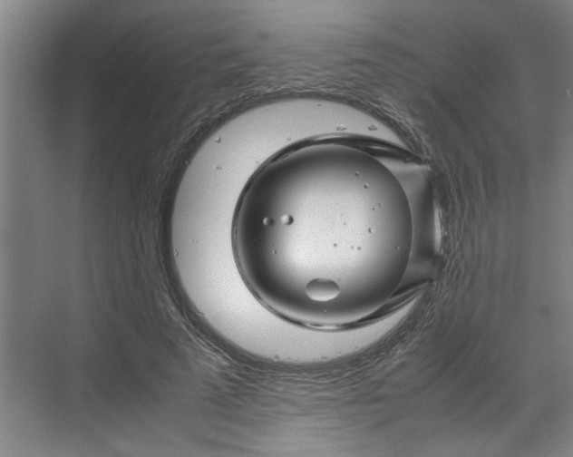 X0000070190689200606091533