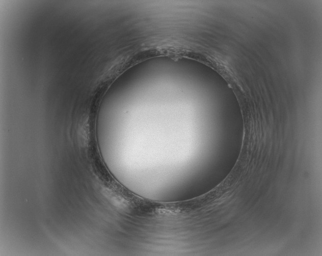 X0000070190690200606091533