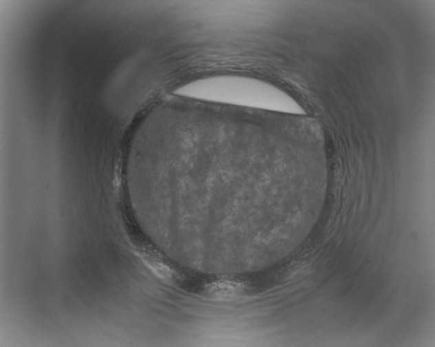 X0000070190691200606091533