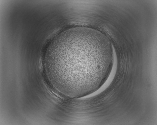 X0000070190692200606091533