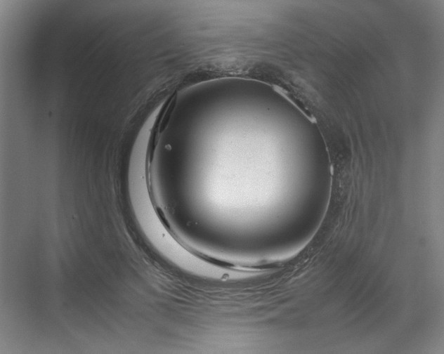 X0000070190693200606091533