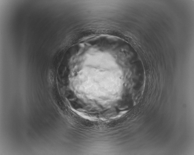 X0000070190695200606091533