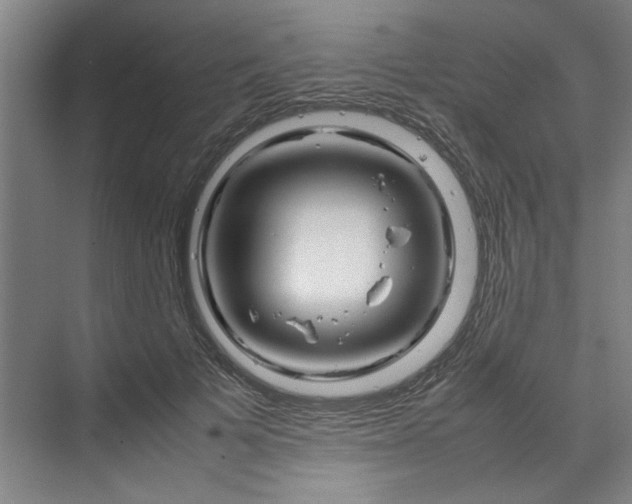 X0000070190697200606091533