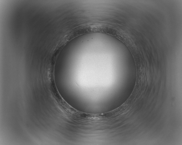 X0000070190698200606091533