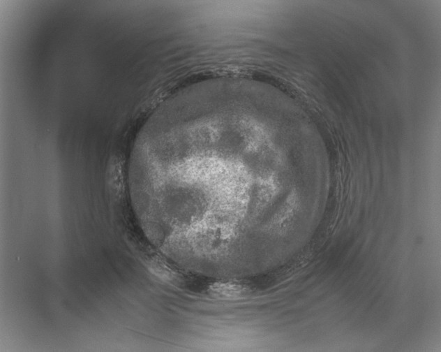 X0000070190699200606091533