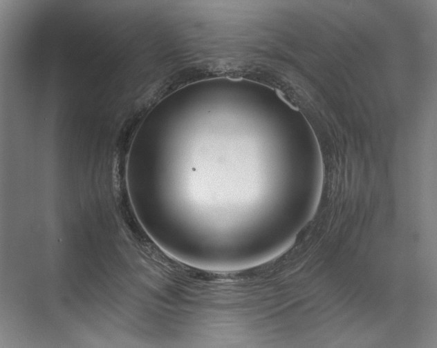 X0000070190700200606091533