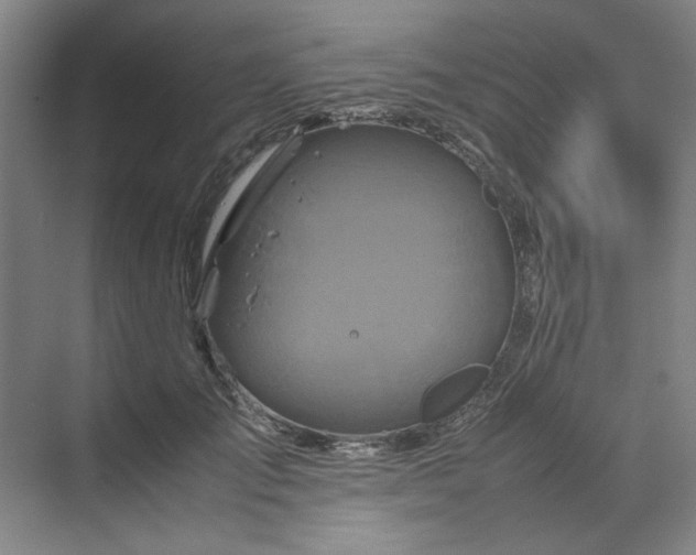 X0000070190701200606091533