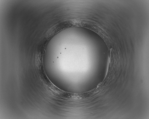 X0000070190702200606091533