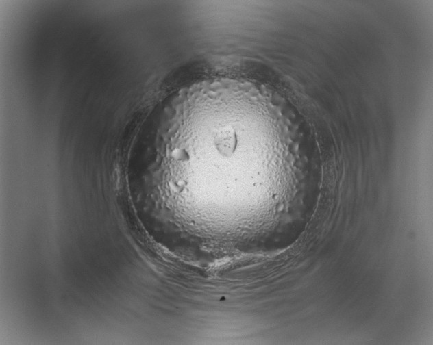 X0000070190703200606091533