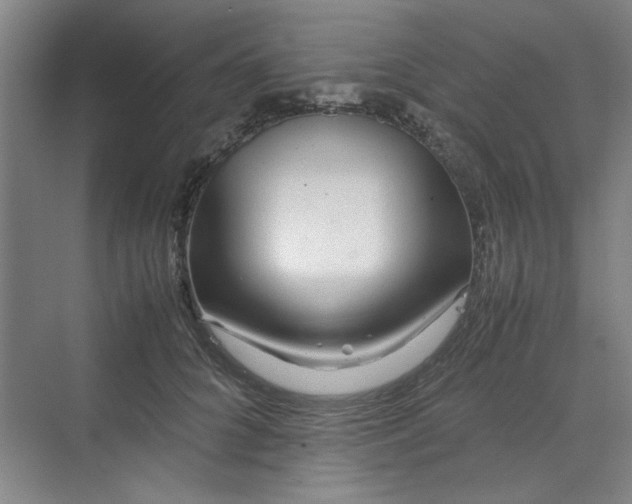 X0000070190704200606091533