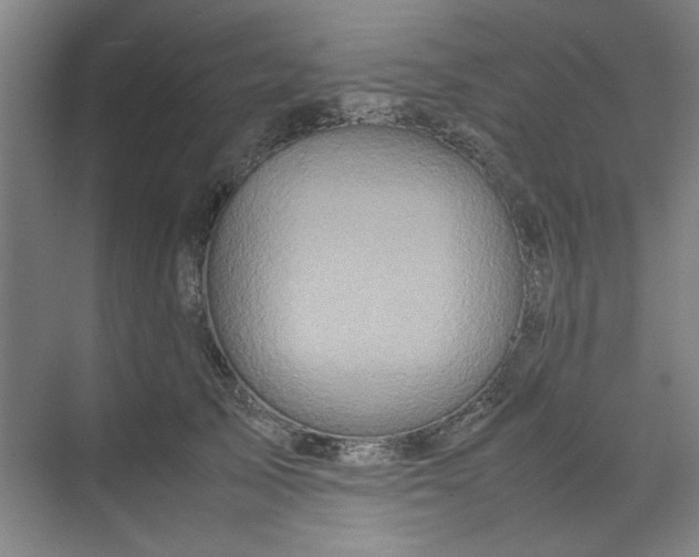 X0000070190705200606091533